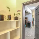 Trikki Family Apartamento